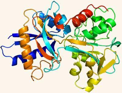 GE.FO. nutrition Srl: lactoferrin