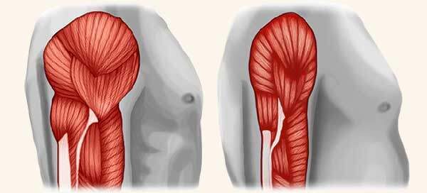 GE.FO. nutrition Srl: Sarcopenia