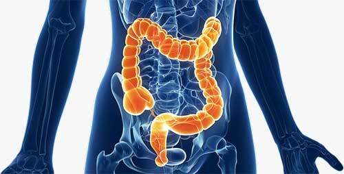 Il Potential N Delta è un integratore alimentare a base di estratti vegetali. Hibiscus sabdariffa L. contribuisce alla regolarità del transito intestinale