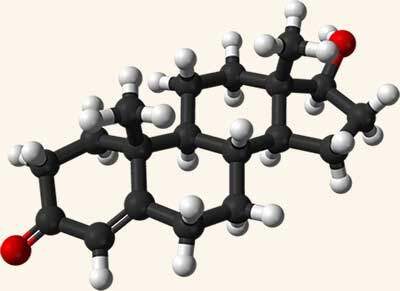 GE.FO. nutrition Srl: Testosterone molecule